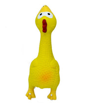 Load image into Gallery viewer, 3PC Set Dog Squeaky Toys Chew Puppy Rubber Chicken Durable Pet Breeds Play Fetch