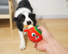 Load image into Gallery viewer, Dog Squeaky Toys Chew Puppy Fluffy Toy Durable Fabric Teeth Grinding PET Cute