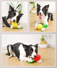 Load image into Gallery viewer, Dog Squeaky Toys Chew Puppy Rubber Fluffy Toy Durable Aggressive Chewers Pet New