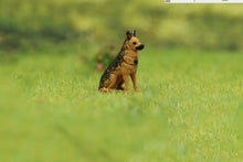 Load image into Gallery viewer, 1:64 Painted Figure Model Miniature Resin Diorama Sand Fishing Fisherman Angeler New Collection