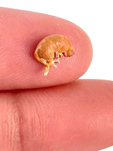 Load image into Gallery viewer, 1:64 Painted Figure Model Miniature Resin Diorama Little Girl Young Man Cat Toy