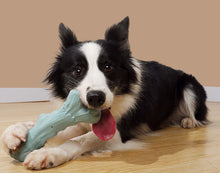Load image into Gallery viewer, Dog Chew Durable Toy Safe Toy Teeth Grinding Monster Pet Puppy Play Fetch Toys