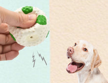Load image into Gallery viewer, 2PC Set Rubber Ball Dog Squeaky Toys Chew Puppy Durable Pet Breeds Play Fetch