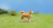 Load image into Gallery viewer, 1:64 Painted Figure Model Miniature Resin Diorama Sand Pet Walk Dog Puppy Toy