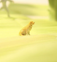 Load image into Gallery viewer, 1:64 Painted Figure Model Miniature Resin Diorama Toy Outdoor Park Scene Frisbee