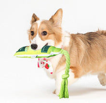 Load image into Gallery viewer, Dog Squeaky Toys Tube Shaped Chew Puppy Canvas Rope Toy Teeth Grinding Pet Gift