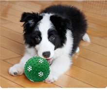 Load image into Gallery viewer, 2PC Set Rubber Ball Dog Squeaky Toys Chew Puppy Durable Pet Breeds Play Fetch NW