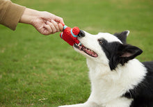 Load image into Gallery viewer, Dog Squeaky Toys Chew Puppy Rubber Fluffy Toy Durable Play Fetch Pet Non-Tonxic