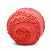 Load image into Gallery viewer, 3PCs Set Dog Squeaky Toys Chew Puppy Rubber Burger Durable Pet Breeds Play Fetch