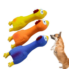Load image into Gallery viewer, 3PC Set Dog Squeaky Toys Chew Puppy Rubber Chicken Durable Pet Breeds Play Fetch