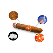 Load image into Gallery viewer, Dog Squeaky Toys Cute Shape Chew Puppy Fluffy Toy Teeth Grinding Durable Pet New