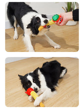 Load image into Gallery viewer, Dog Squeaky Toys Chew Puppy Fluffy Toy Durable Fabric Teeth Grinding PET Cute