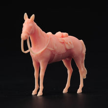 Load image into Gallery viewer, 1:64 Painted Unpainted Figure Model Miniature Resin Diorama Sand Cow Girl Horse New