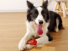 Load image into Gallery viewer, Dog Bone Chew Durable Toys Aggressive chewers non-toxic Recyclable Puppy Toy Pet