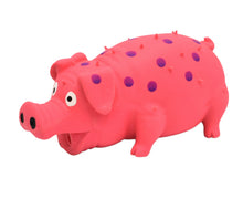 Load image into Gallery viewer, Dog Squeaky Toys Chew Puppy Rubber Pig Pet Breeds Play Fetch Reduce Anxiety Cute