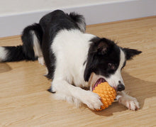 Load image into Gallery viewer, Treat Dispensing Puzzle Toys Dog Chew Durable Toy Dental Cleansing Safe Pet NUTS