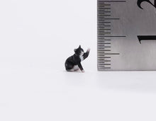 Load image into Gallery viewer, 1:64 Painted Figure Model Miniature Resin Diorama Sand Cats and Dogs Set Pet Toy