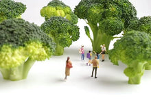 Load image into Gallery viewer, 1:64 Painted Figure Model Miniature Resin Diorama Sand Travel Sightseeing 6pcs