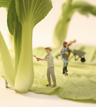 Load image into Gallery viewer, 1:64 Painted Figure Model Miniature Resin Diorama Sand Gardener Worker Pruning