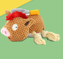 Load image into Gallery viewer, Dog Squeaky Toys Chew Puppy Fluffy Toy Durable Rope Teeth Grinding PET Pig Cat