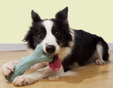 Load image into Gallery viewer, Dog Chew Durable Toy Safe Toy Teeth Grinding Monster Pet Puppy Play Fetch Toys