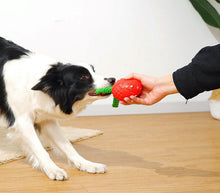 Load image into Gallery viewer, Dog Squeaky Toys Chew Puppy Rubber Fluffy Toy Durable Aggressive Chewers Pet New