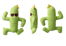 Load image into Gallery viewer, Dog Squeaky Toys Chew Puppy Fluffy Rope Toy Durable Teeth Grindin PET Cat Green