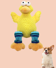 Load image into Gallery viewer, Dog Squeaky Toys Chew Puppy Fluffy Toy Durable Fabric Teeth Grinding PET Duck