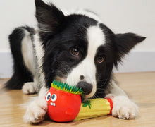 Load image into Gallery viewer, Dog Squeaky Toys Chew Puppy Fluffy Toy Durable Fabric Teeth Grinding PET Cute