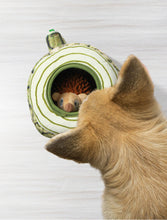 Load image into Gallery viewer, Dog Hide and Seek Toys Chew Puppy Fluffy Puzzle Toy Durablc Teeth Grinding Pet