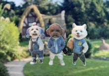 Load image into Gallery viewer, 1:64 Painted Figure Mini Model Miniature Resin Diorama Pet Dog Cute Sand Toy New