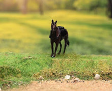 Load image into Gallery viewer, 1:64 Painted Figure Model Miniature Resin Diorama Sand Fine Horse White Brown