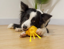 Load image into Gallery viewer, Dog Squeaky Toys Chew Puppy Rubber Animal Pet Play Fetch Reduce Anxiety Durable