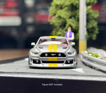 Load image into Gallery viewer, Liberty 1:64 Silver Mustang Widebody Muscle Sports Model Diecast Metal Car New Collection