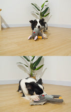 Load image into Gallery viewer, Dog Squeaky Toys Bat Chew Puppy Fluffy Rope Toy Durable Teeth Grinding Pet Cat