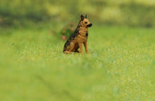 Load image into Gallery viewer, 1:64 Painted Figure Model Miniature Resin Diorama Sand Pet Walk Dog Puppy Toy