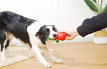 Load image into Gallery viewer, Dog Squeaky Toys Chew Puppy Rubber Fluffy Toy Durable Aggressive Chewers Pet New