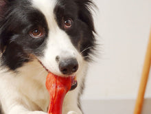 Load image into Gallery viewer, Dog Bone Chew Durable Toys Aggressive chewers non-toxic Recyclable Puppy Toy Pet