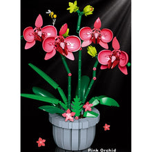 Load image into Gallery viewer, 698PCS MOC Pink Butterfly Orchid Phalaenopsid Flower Potting Model Toy Building Block Brick Gift Kids Compatible lego Display Decorate