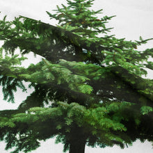 Load image into Gallery viewer, Tapestry Home Decor Wall Hanging Living Room Bedroom Tablecloth Christmas Tree