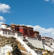 Load image into Gallery viewer, 1464PCS Architecture Tibet Potala Palace Building Block Brick Model Educational Toy Fully Compatible With Lego