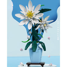 Load image into Gallery viewer, 800PCS MOC Epiphyllum Flower Floral Model Toy Building Block Brick Gift Kids Compatible Lego Display With Vase
