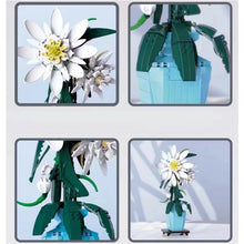 Load image into Gallery viewer, 800PCS MOC Epiphyllum Flower Floral Model Toy Building Block Brick Gift Kids Compatible Lego Display With Vase