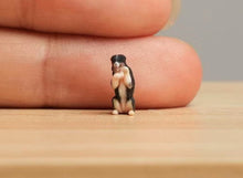Load image into Gallery viewer, 1:64 Painted Figure Model Miniature Resin Diorama Sand Bernese Mountain Dog Toy
