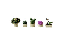 Load image into Gallery viewer, 1:64 Painted Figure Mini Model Miniature Resin Diorama Sand Toy Potted Plant Set
