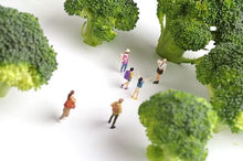 Load image into Gallery viewer, 1:64 Painted Figure Model Miniature Resin Diorama Sand Travel Sightseeing 6pcs
