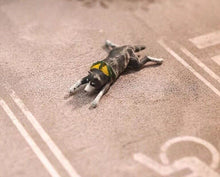 Load image into Gallery viewer, 1:64 Painted Figure Mini Model Miniature Diorama Sand Pet Street Boy Girl Man Collection
