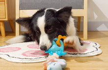 Load image into Gallery viewer, Baby Dog Squeaky Toys Chew Rubber Pet Play Fetch Reduce Anxiety Puppy Pet Cat BN
