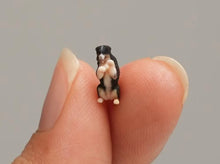 Load image into Gallery viewer, 1:64 Painted Figure Model Miniature Resin Diorama Sand Bernese Mountain Dog Toy
