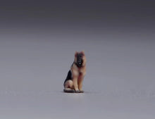 Load image into Gallery viewer, 1:64 Painted Figure Model Miniature Resin Diorama Sand Dog Puppy Pet Shepherd
